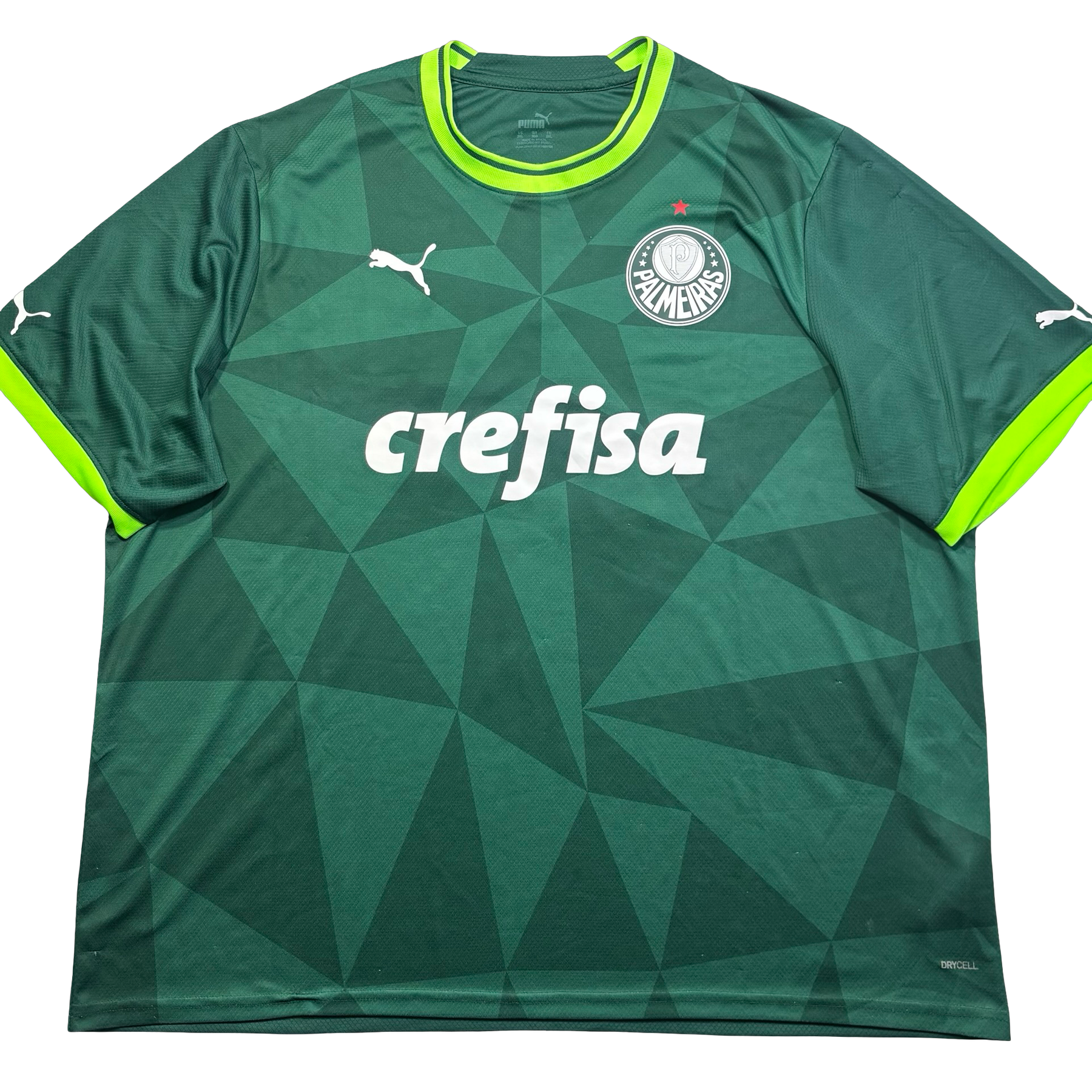 Palmeiras Puma