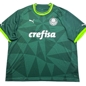 Palmeiras Puma