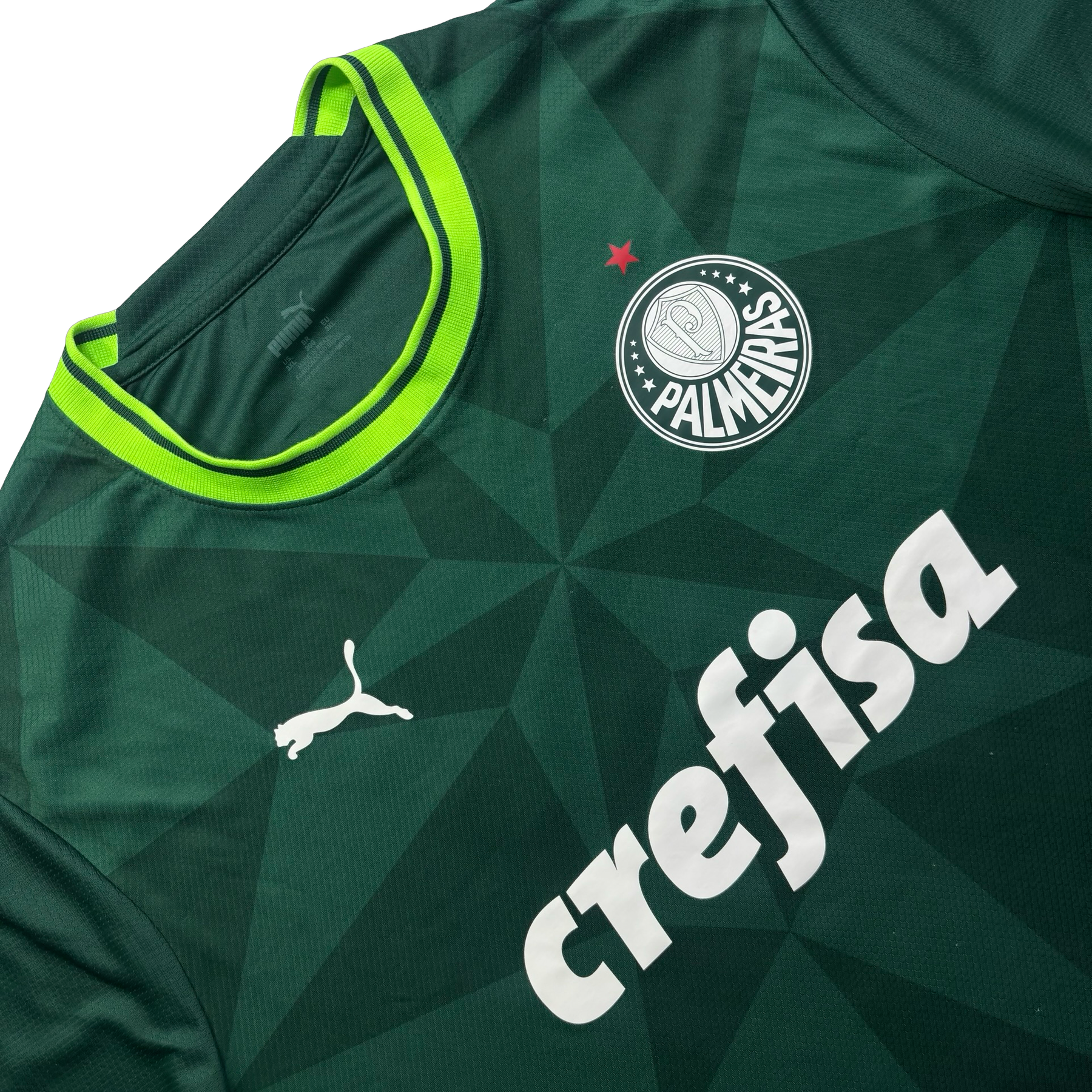 Palmeiras Puma