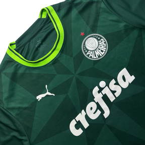 Palmeiras Puma