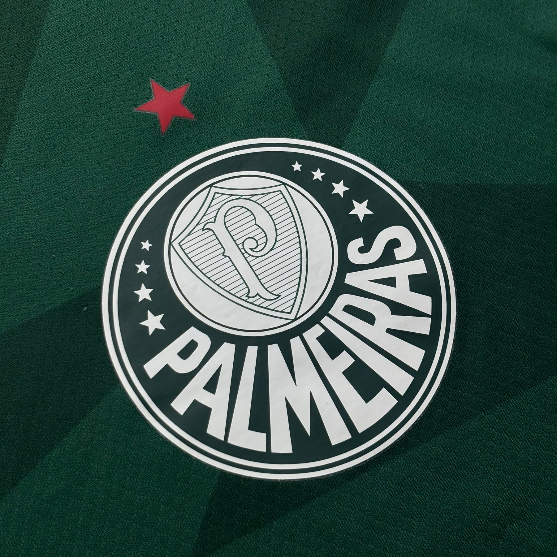 Palmeiras Puma