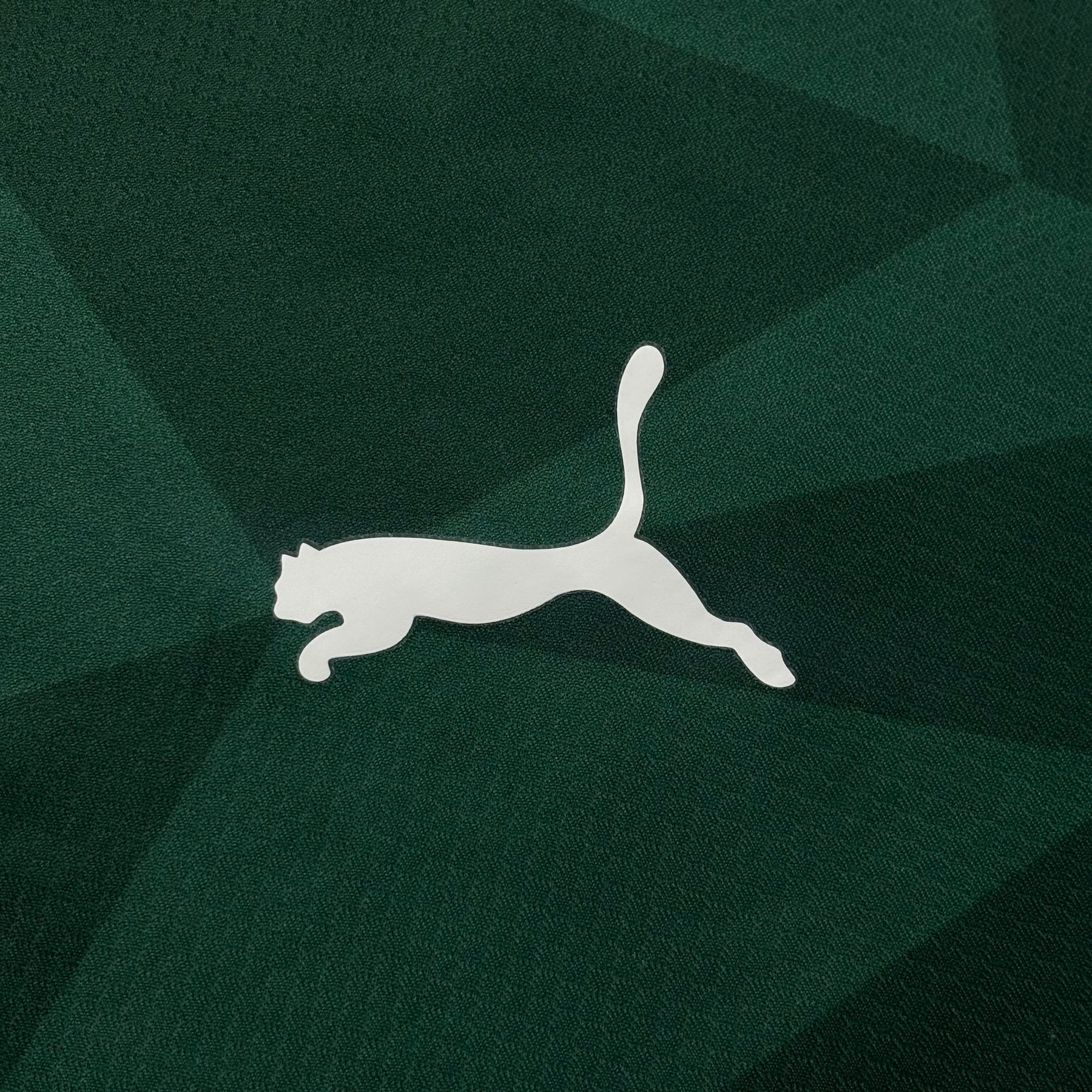 Palmeiras Puma