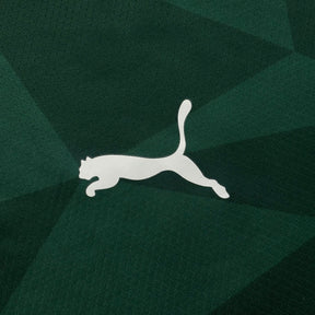 Palmeiras Puma