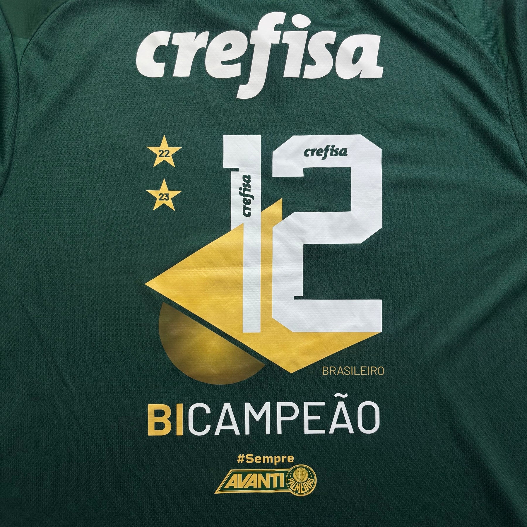 Palmeiras Puma